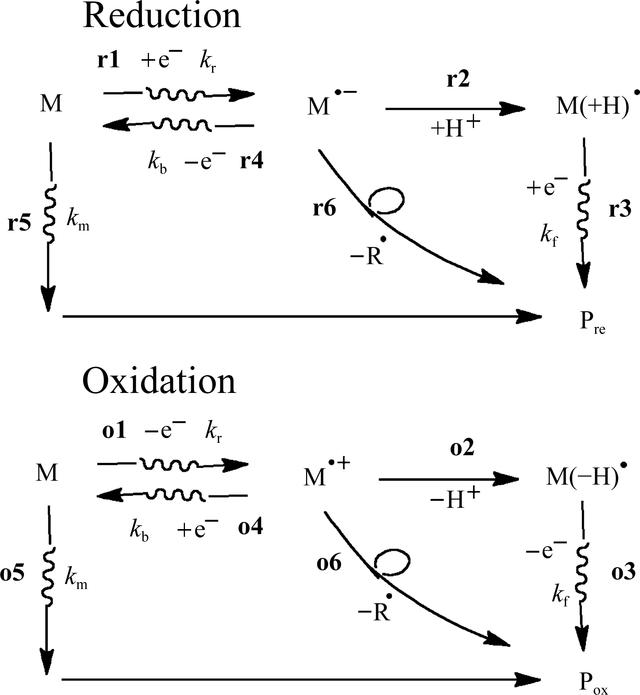 [Figure 1]