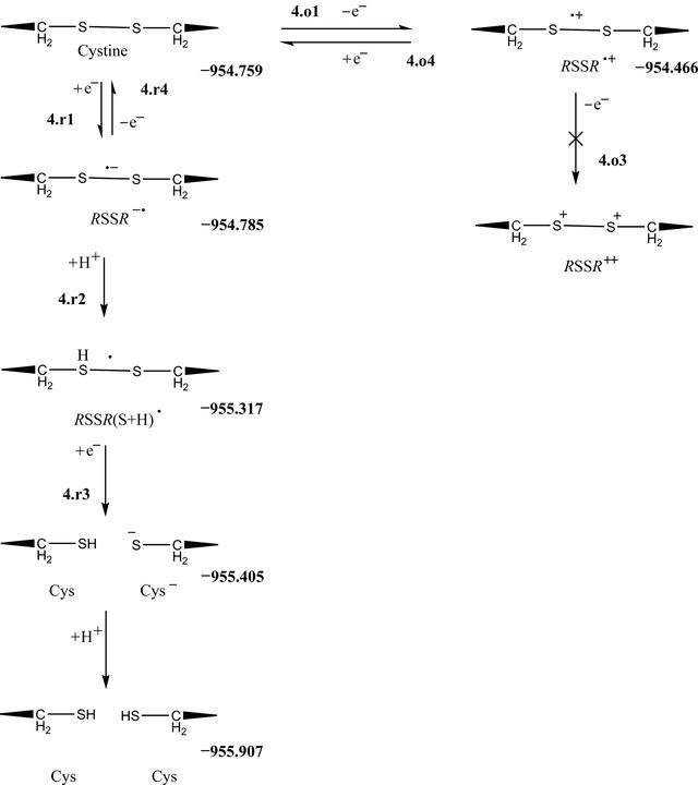 [Figure 4]