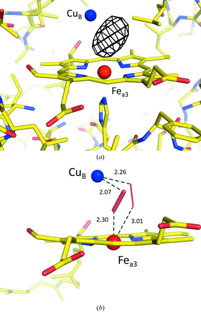 [Figure 2]