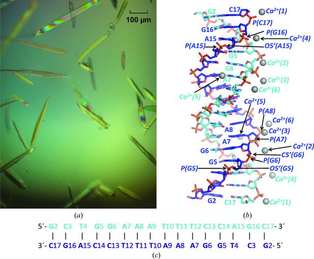 [Figure 1]