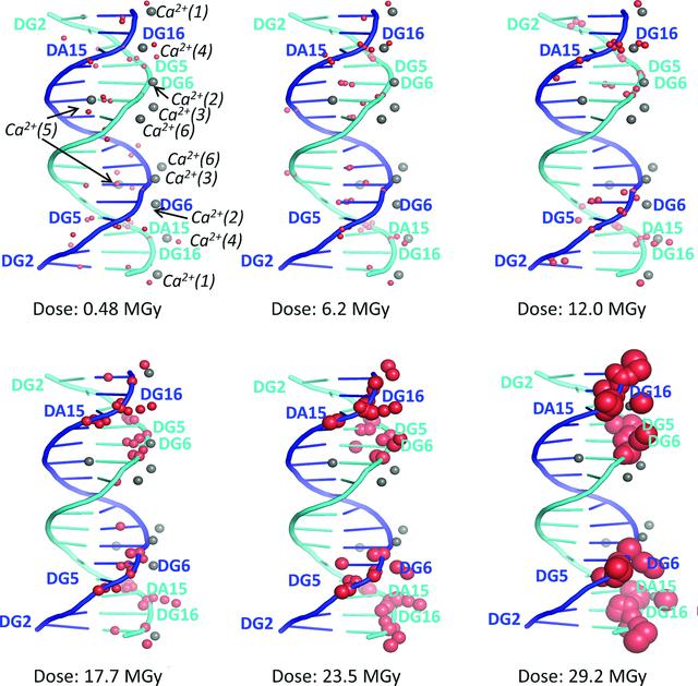 [Figure 10]