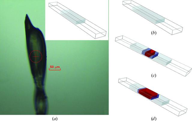 [Figure 3]