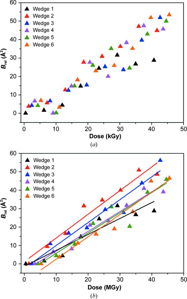 [Figure 6]