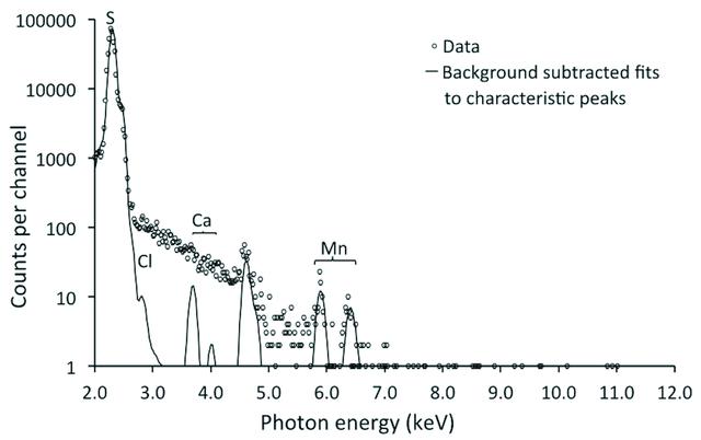 [Figure 2]