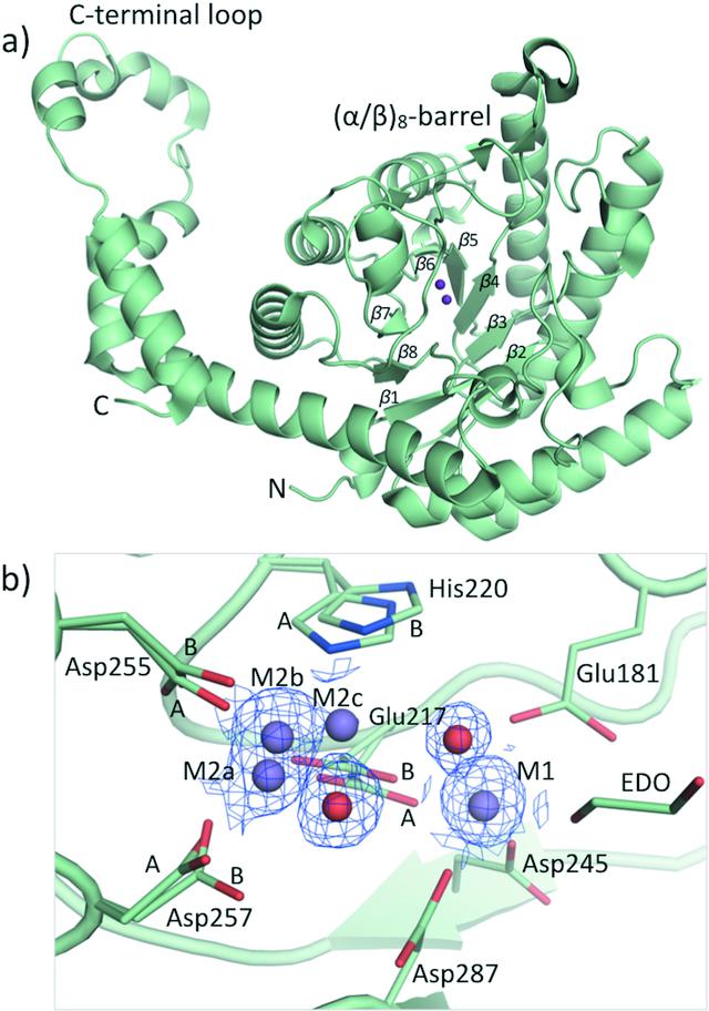 [Figure 4]