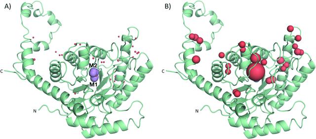 [Figure 6]