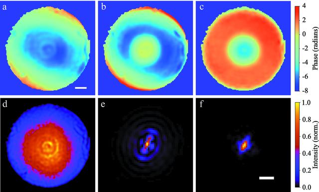 [Figure 11]