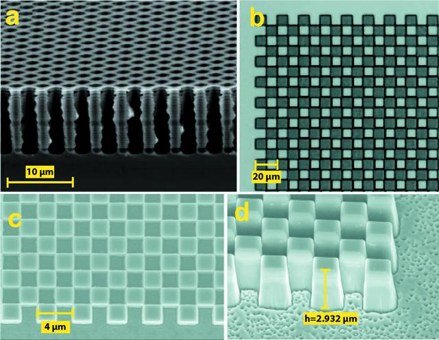 [Figure 3]