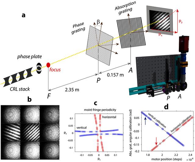 [Figure 6]