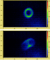 [Figure 5]