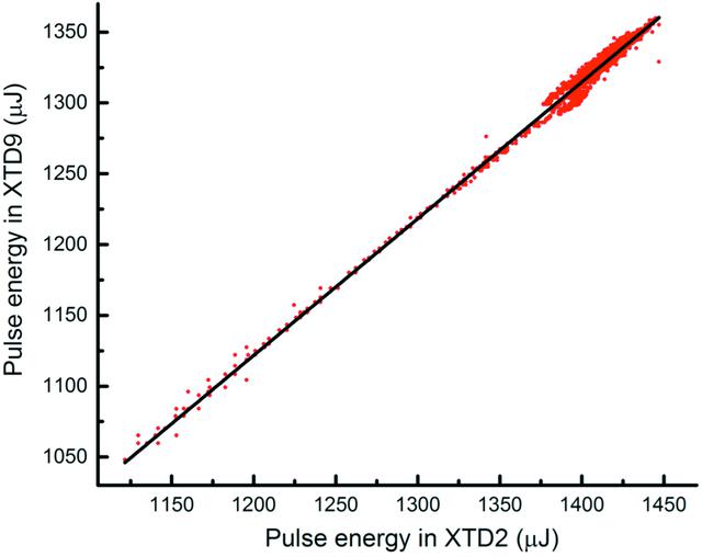 [Figure 5]