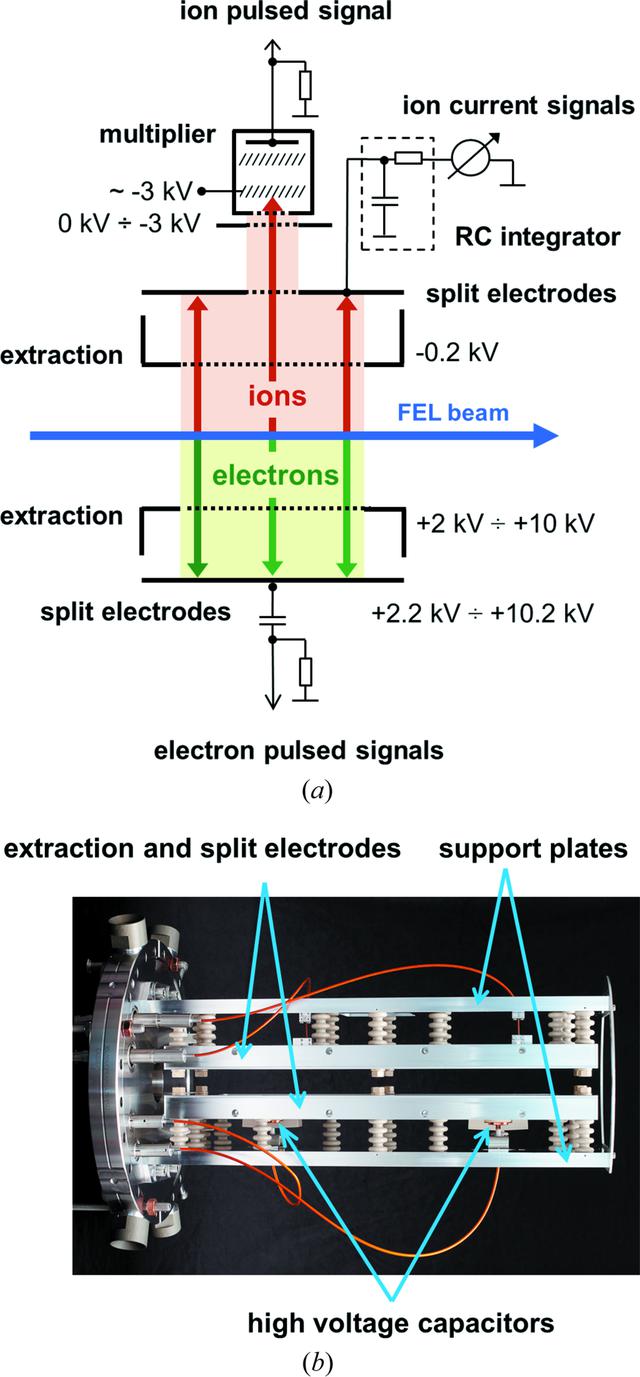 [Figure 2]