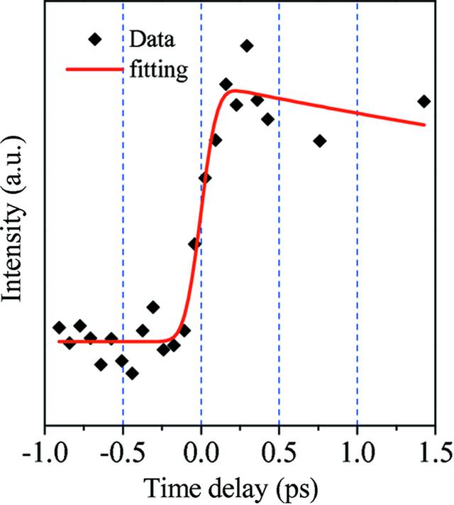 [Figure 5]