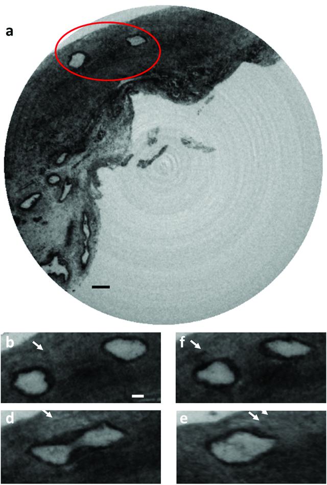 [Figure 3]