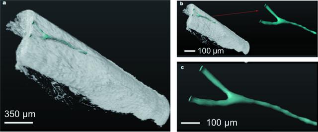 [Figure 4]