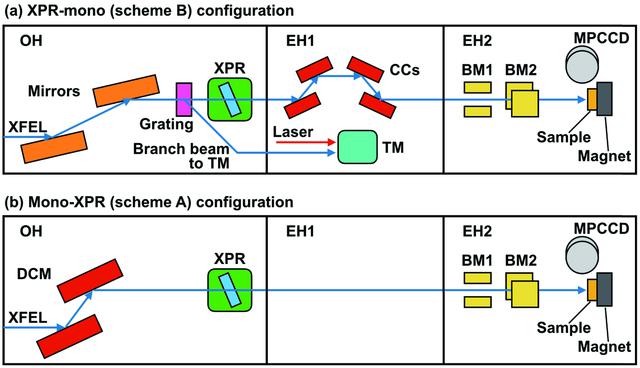 [Figure 1]