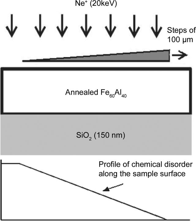 [Figure 1]