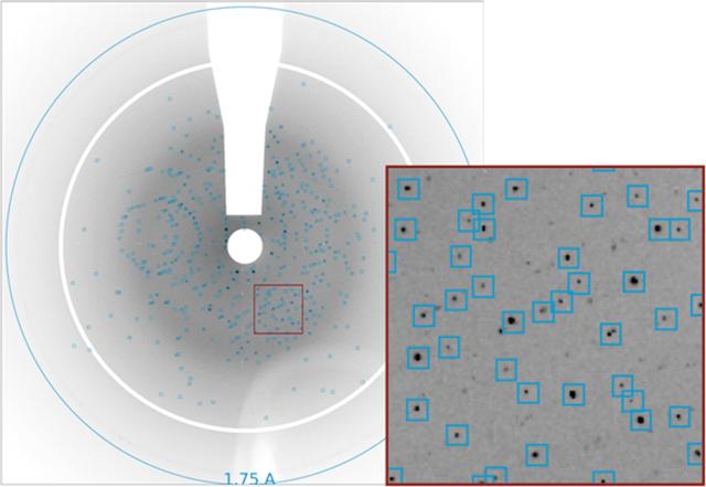 [Figure 2]