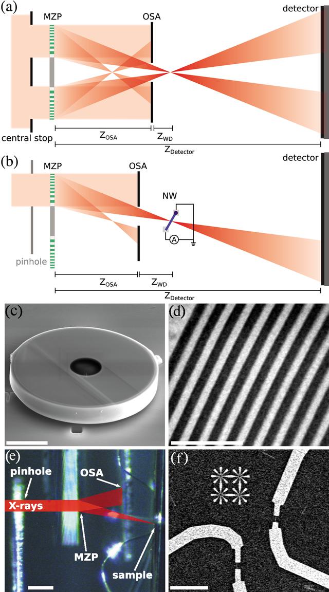 [Figure 1]