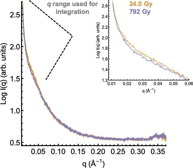 [Figure 3]