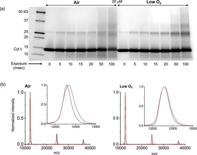 [Figure 2]