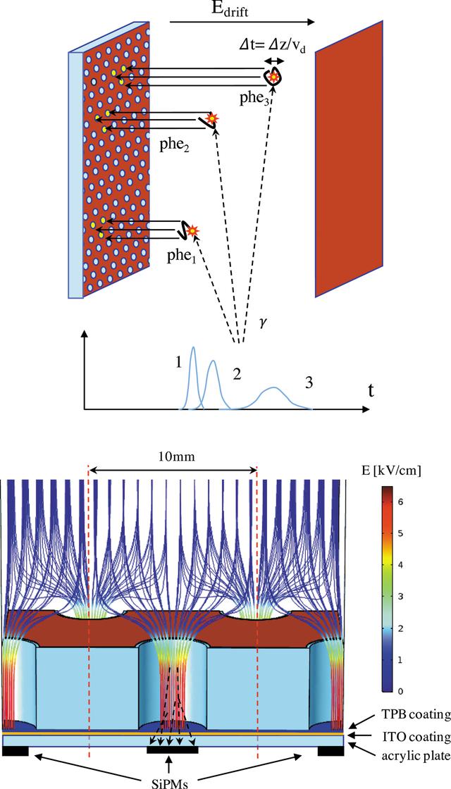 [Figure 4]