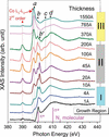 [Figure 5]