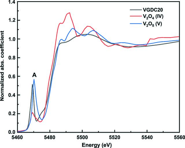 [Figure 4]