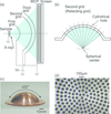 [Figure 1]