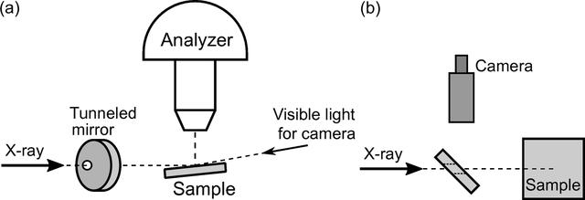 [Figure 3]