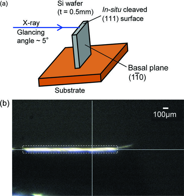 [Figure 6]