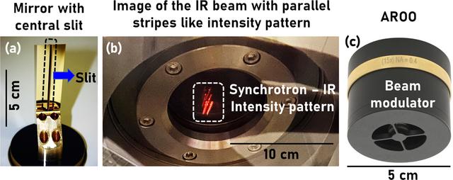 [Figure 1]