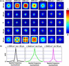 [Figure 2]