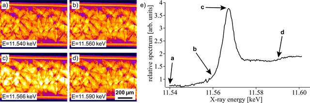 [Figure 4]