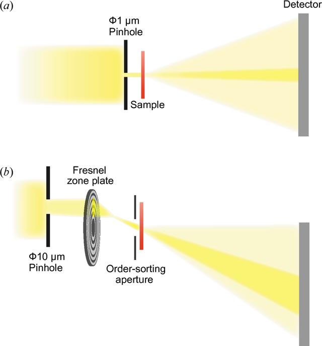 [Figure 1]