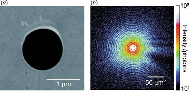 [Figure 2]